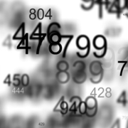 DATA DATA  DATA. All images copyright(c) Stanza. Do not reproduce or use for blogs without written permission. 