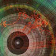 Stanza Lifeforms. All images copyright(c) Stanza. Do not reproduce or use for blogs without written permission. 