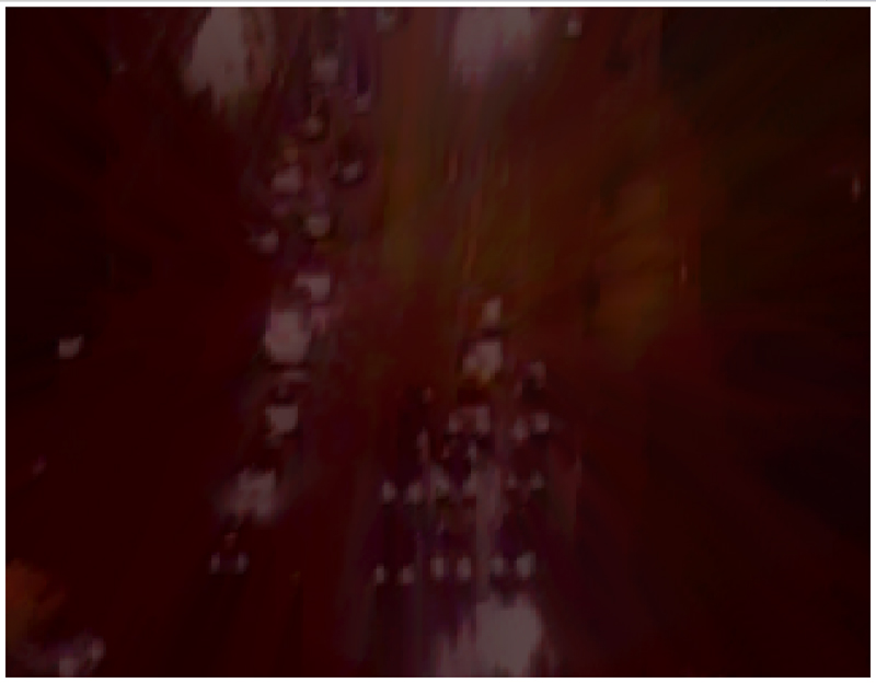 stanza image