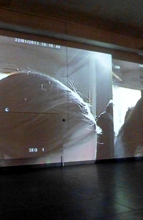 Visitors To A Gallery - Referential Self, Embedded. 2004- 2008 